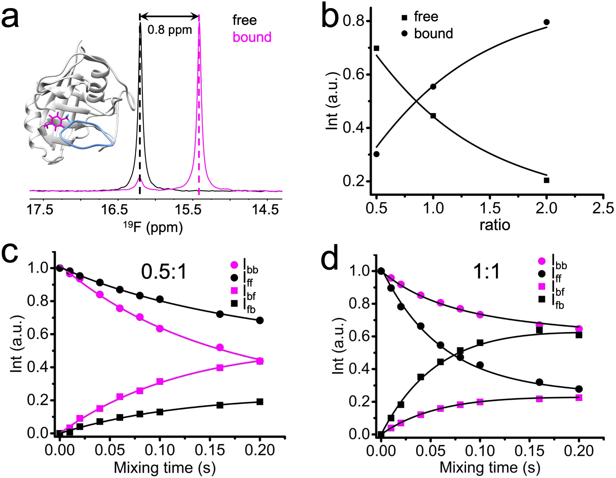 Quantifying protein-drug lifetimes in human cells by F NMR spectroscopy