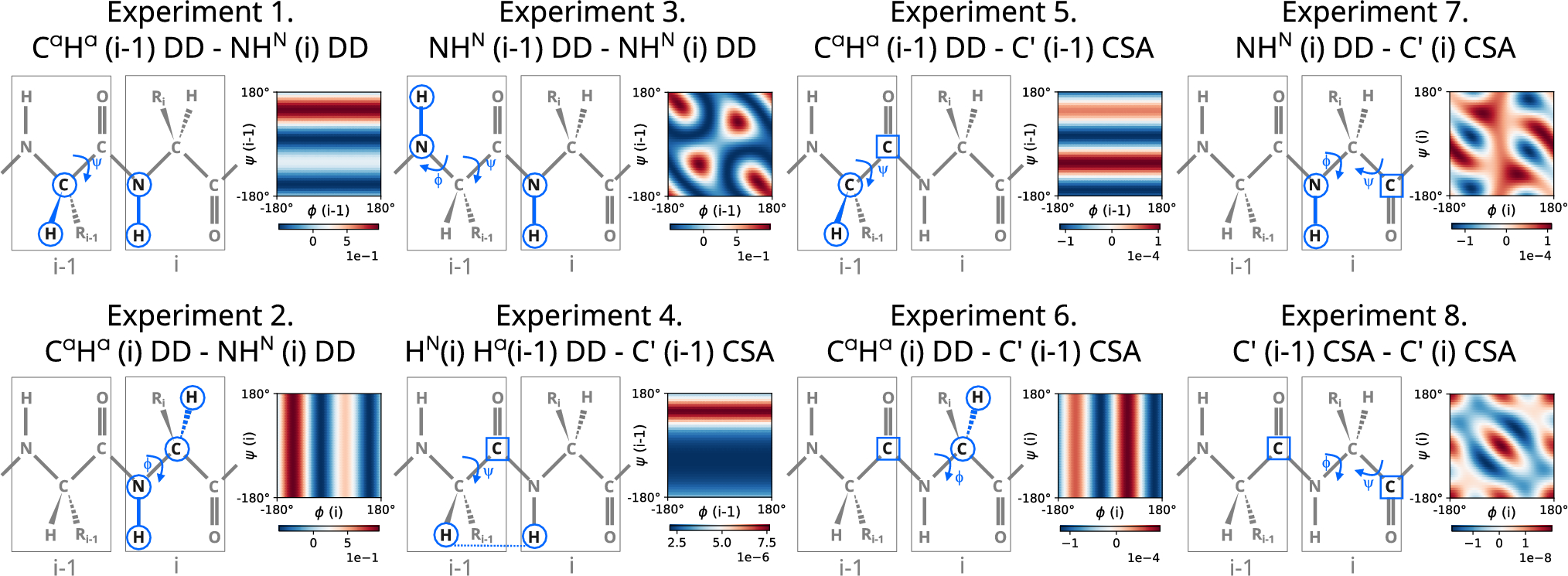 A complete set of cross-correlated relaxation experiments for determining the protein backbone dihedral angles