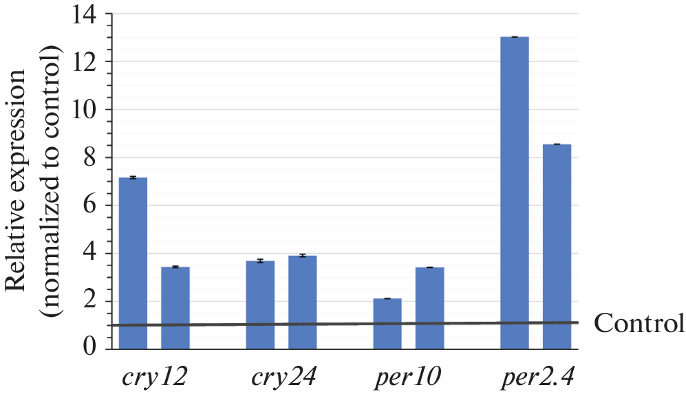 Intestinal Overexpression of Circadian Clock Genes Modulates Lifespan and Thermotolerance in Male