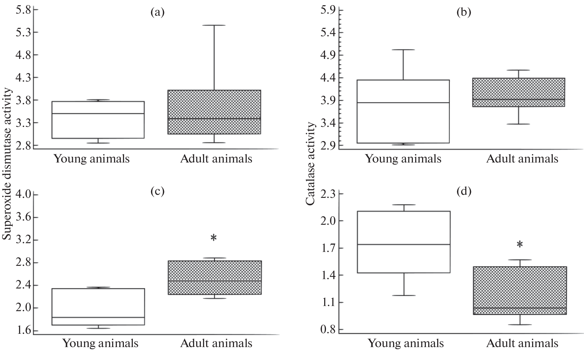 Age-Related Changes in the Tissue Antioxidant Defense of the Northern Birch Mouse (, Rodentia) at the Northern Periphery of Its Range