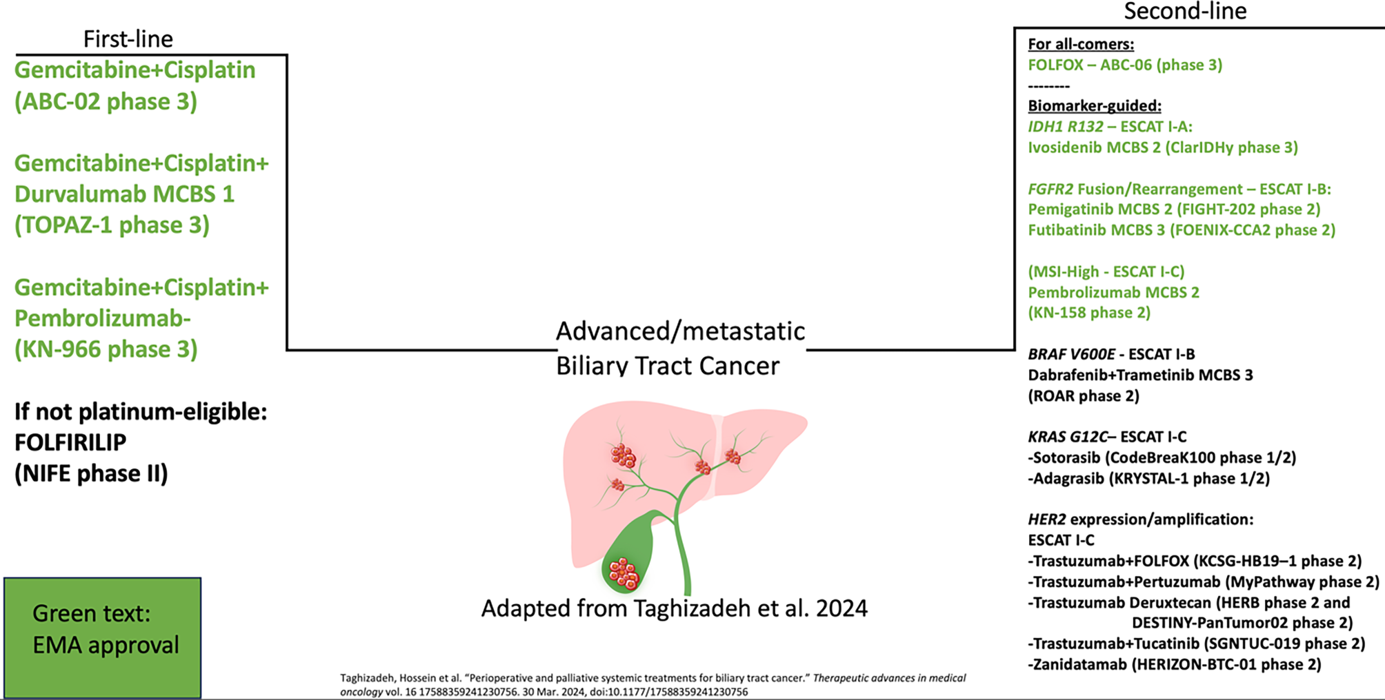 Molecular profiling and targeted therapies in biliary tract cancer—a short review
