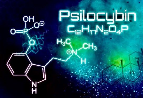 Psilocybin increased postpartum anxiety and depressive symptoms in animal model