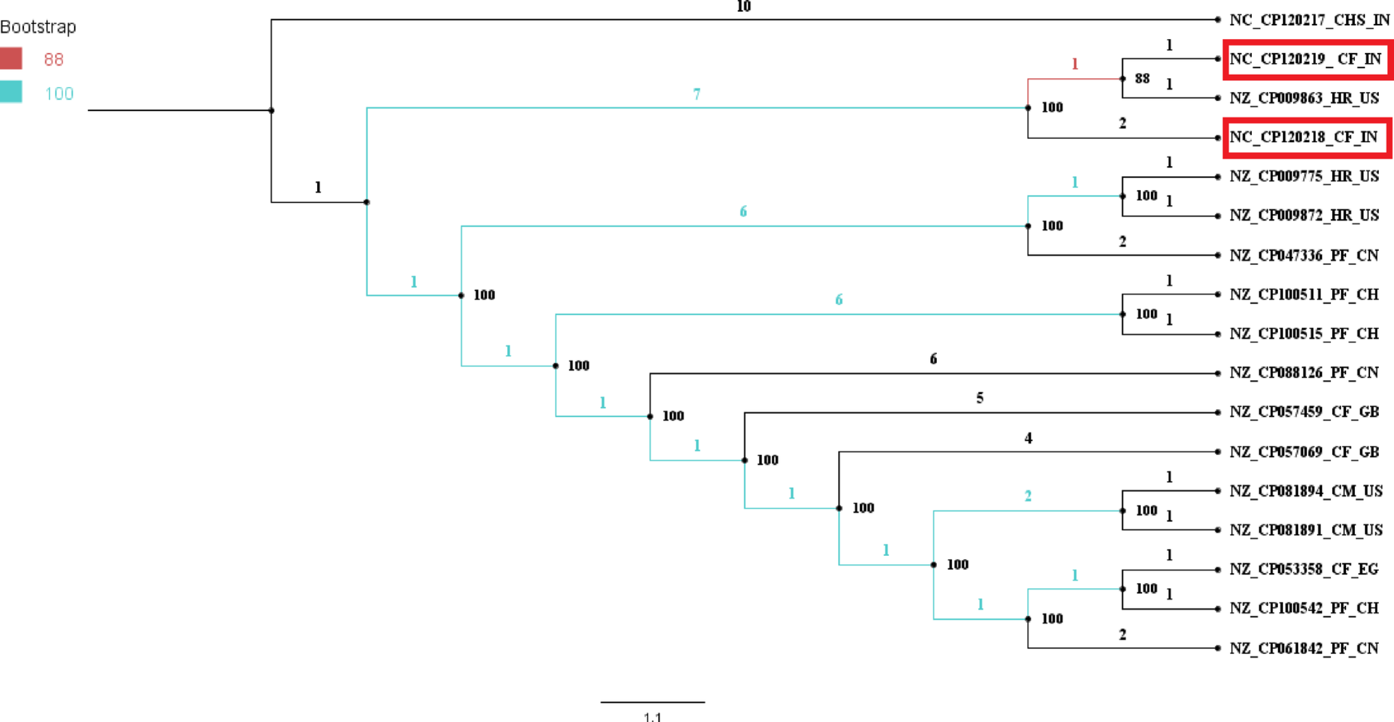 Antimicrobial resistance profiles and genomic insights of phenotypically extended spectrum β-lactamase-positive  from cattle farms