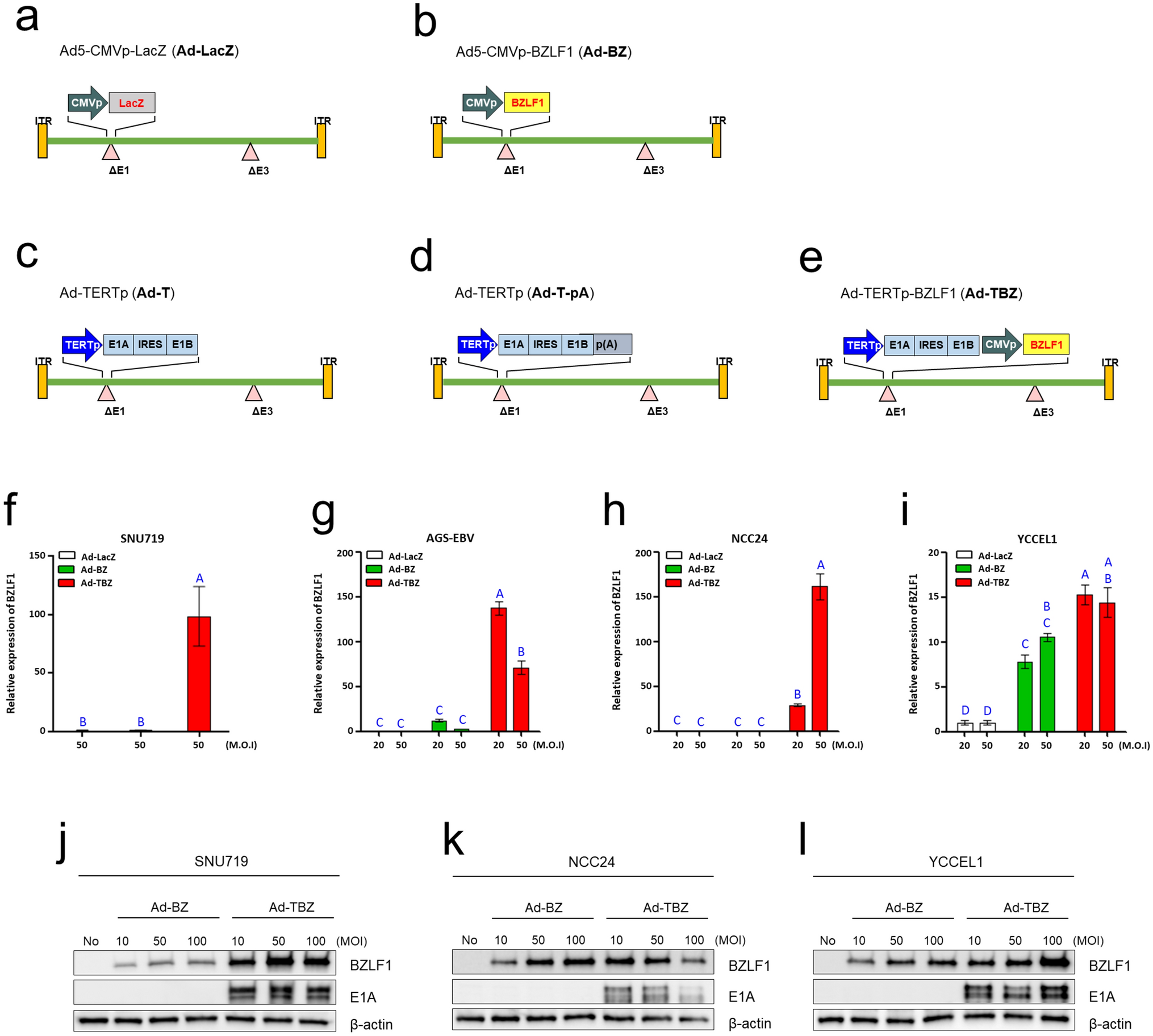 Development of adenovirus-based oncolytic virus to induce EBV lytic reactivation