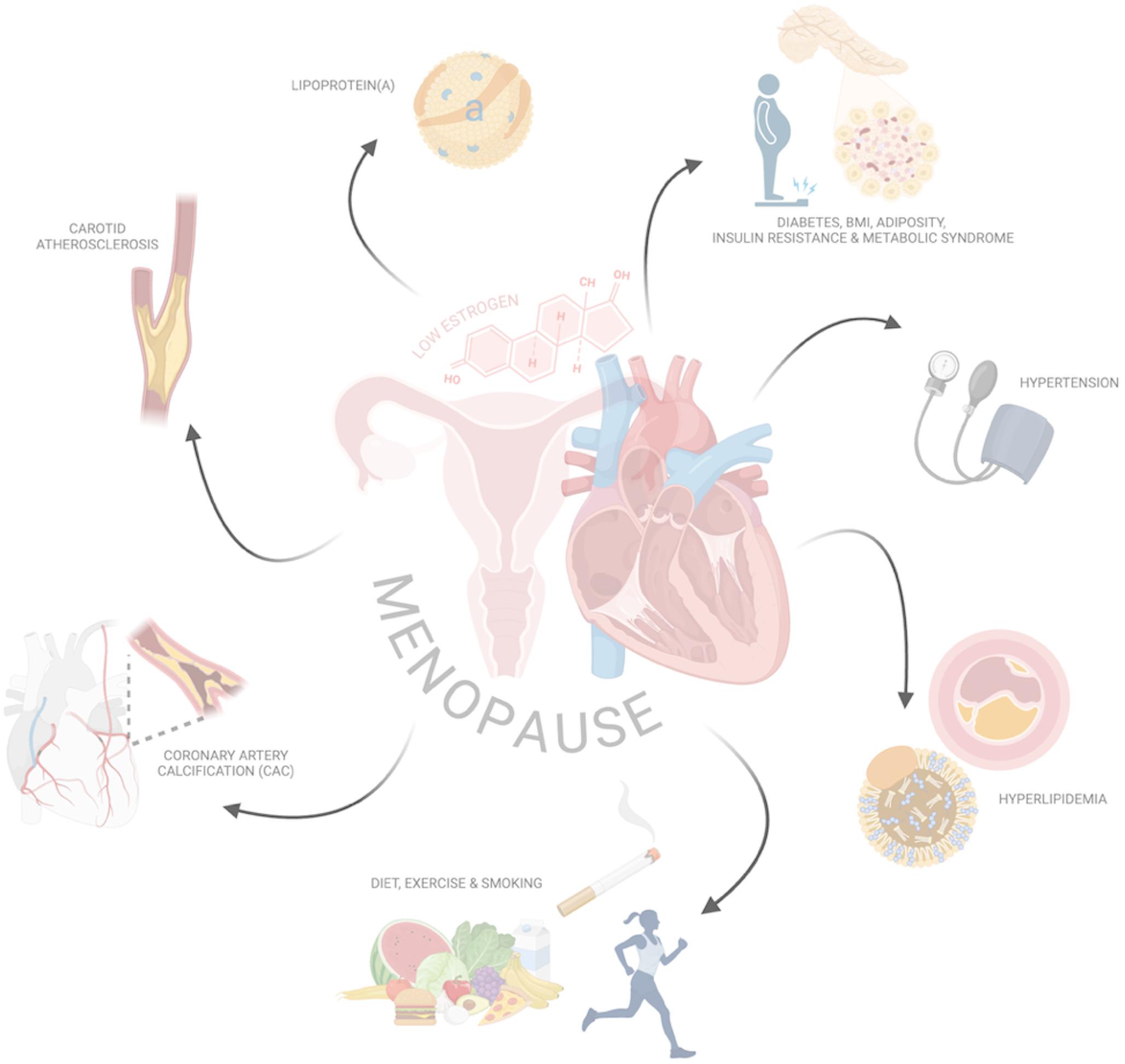 Cardiovascular Risk Associated with Menopause and Menopause Hormone Therapy: A Review and Contemporary Approach to Risk Assessment