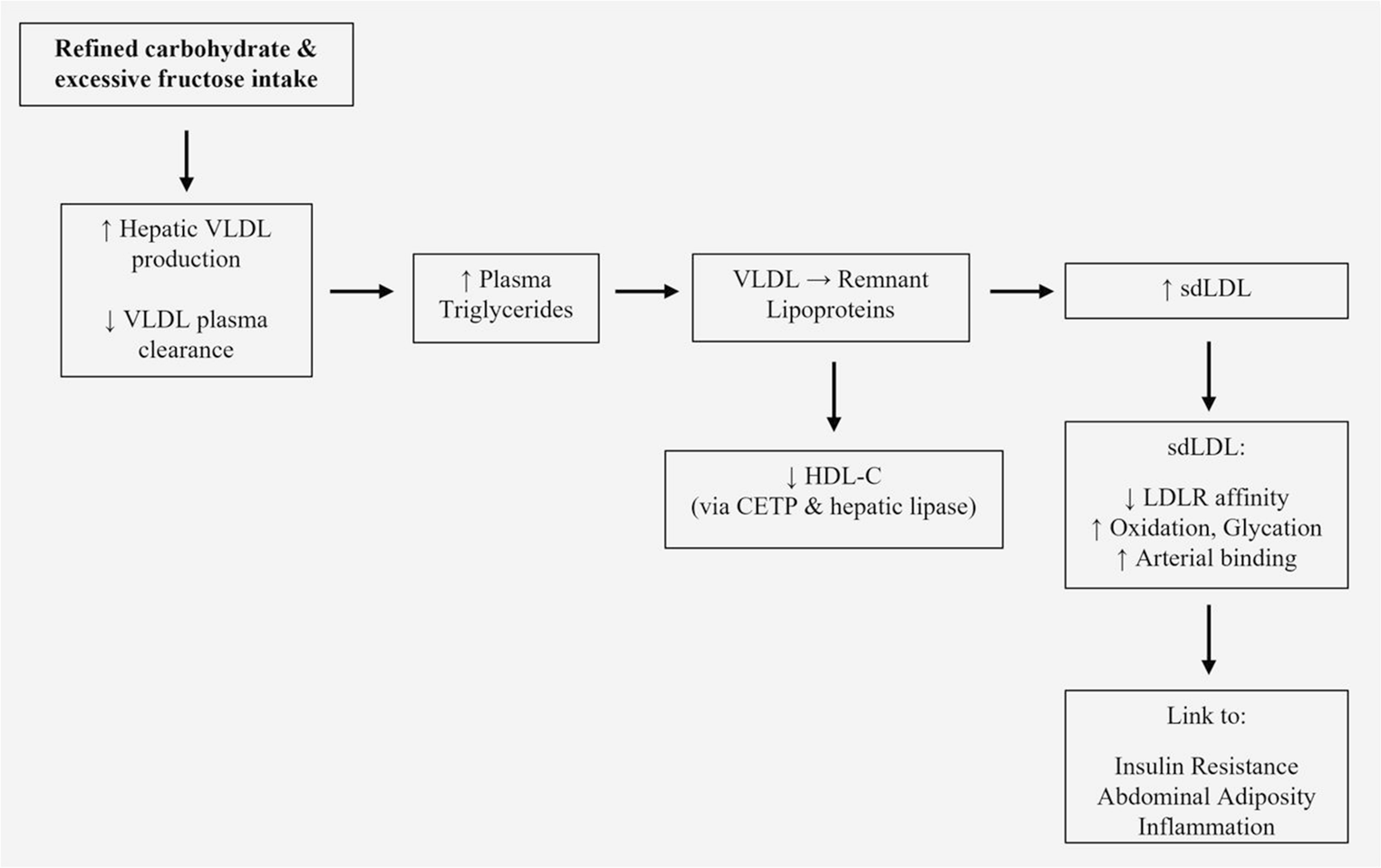 Dietary Management of Atherogenic Dyslipidemia