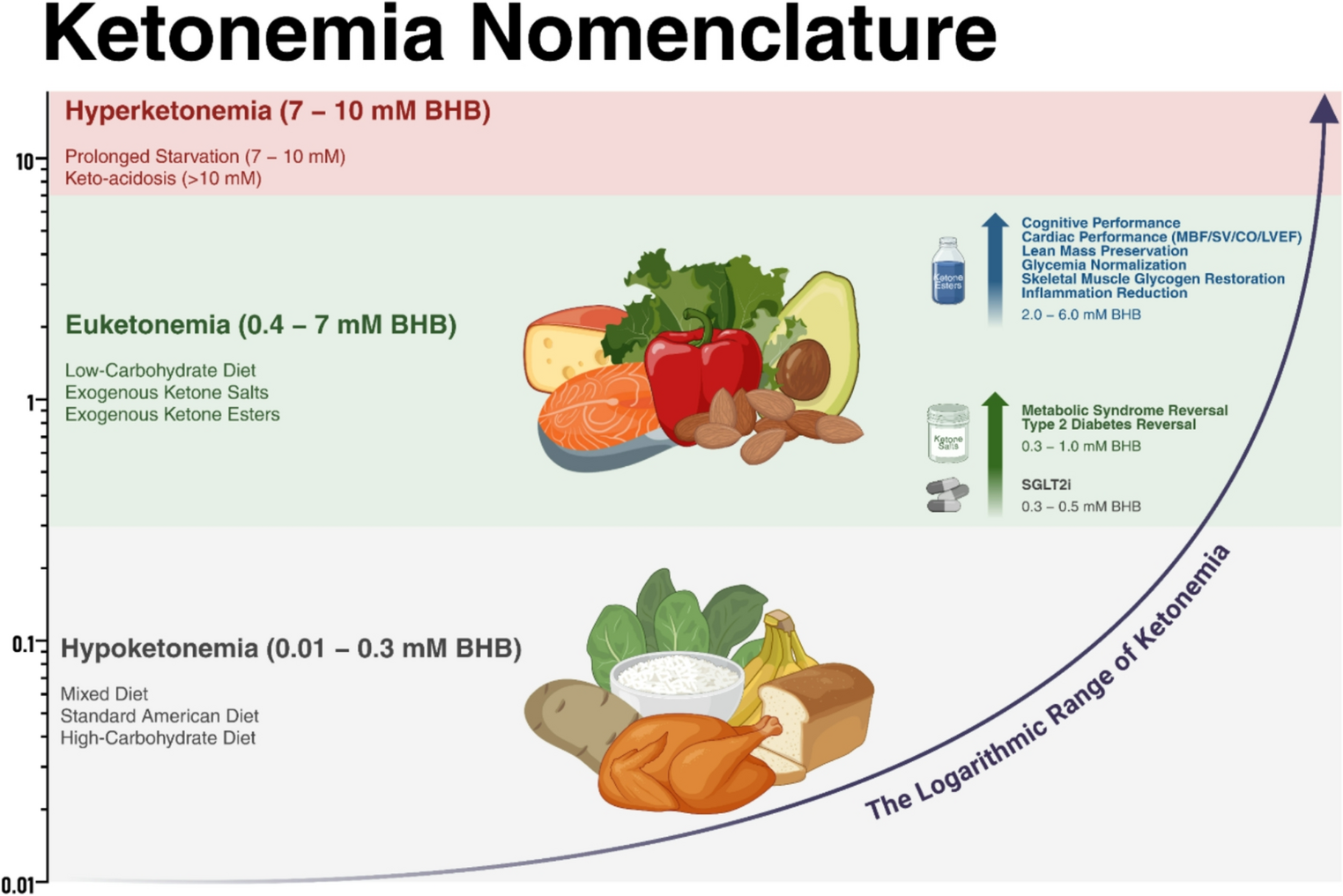 Salutary Effects of Nutritional Ketosis for the Diseased Human Heart