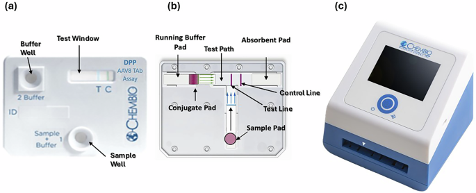 Rapid detection of AAV8 binding antibodies in gene therapy candidates: development of a point-of-care approach