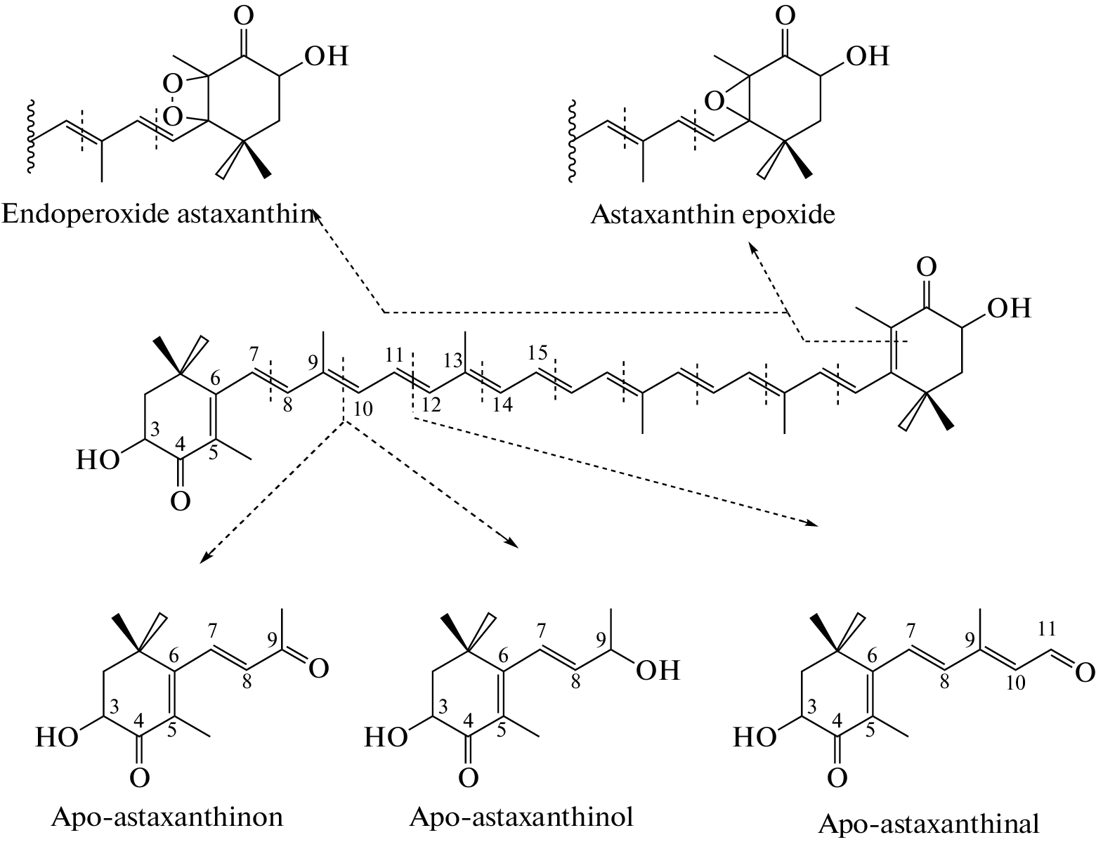 Interaction of Astaxanthin with Iron Salts Fe and Fe in Organic Solvents