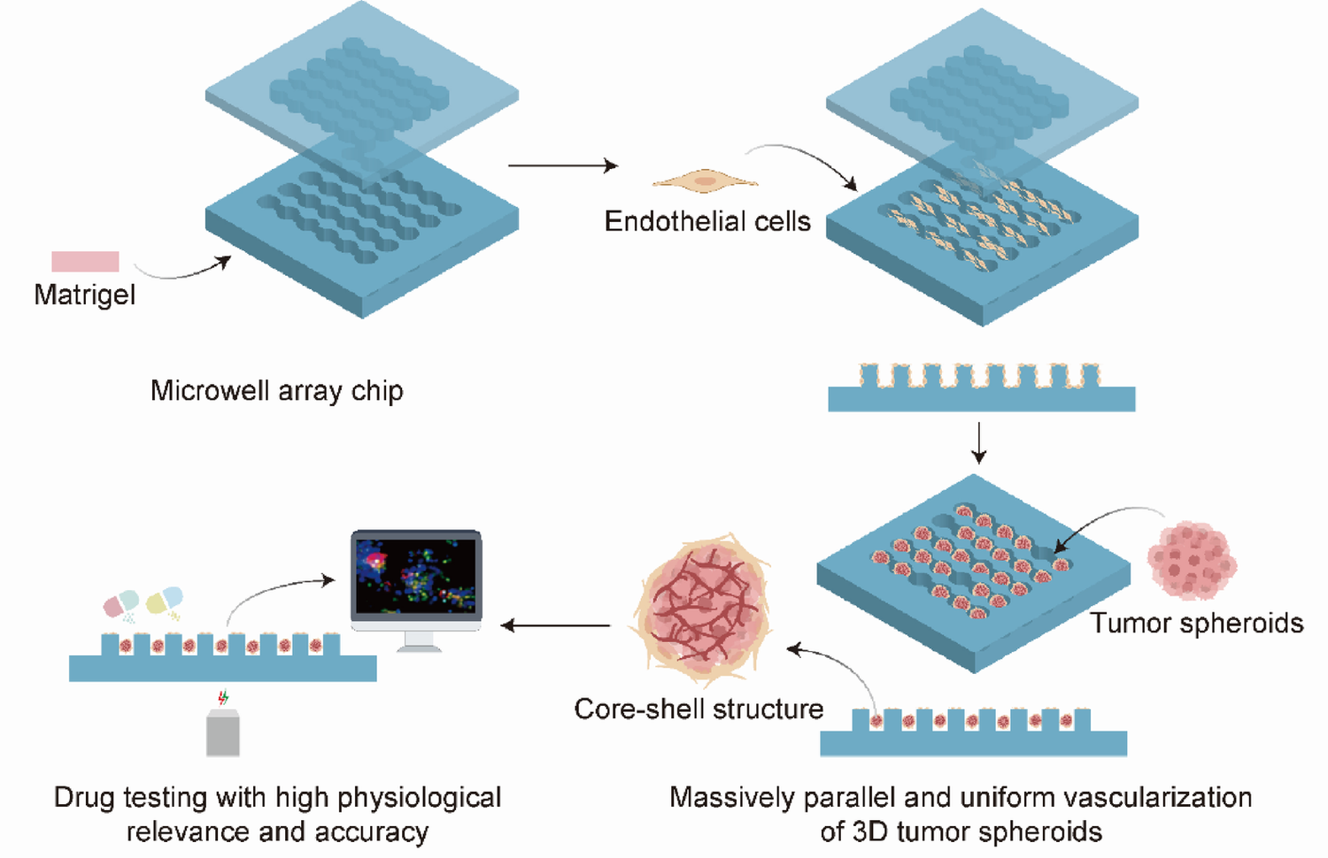 Upgrading the Physiological Relevance and Accuracy of 3D Cell Spheroids-based Drug Testing Through Massively Parallel Vascularization
