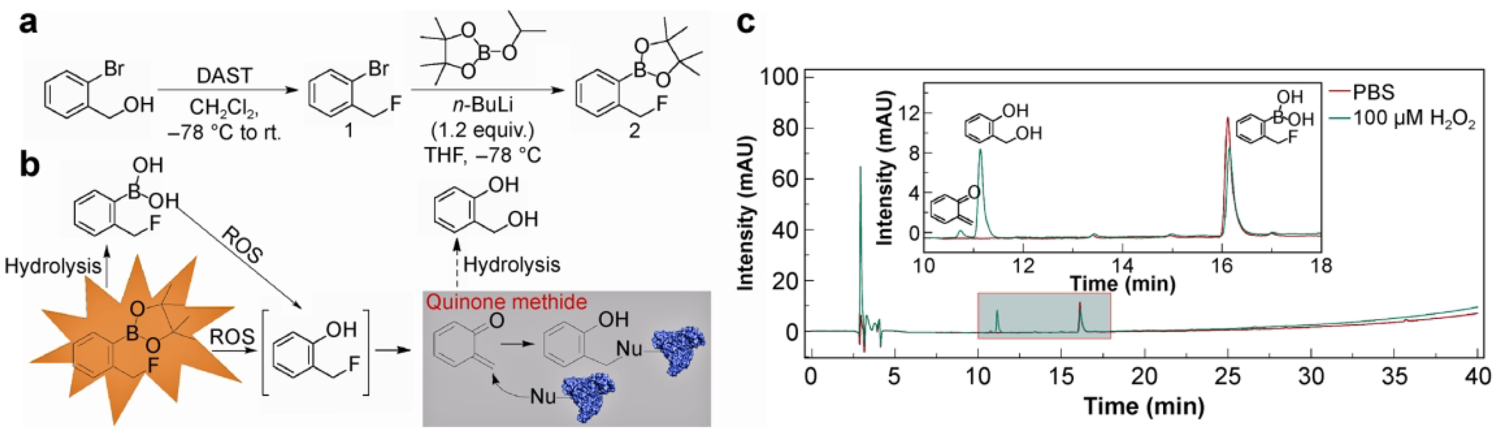 Multi-Targeting Crosslinker for ROS-Triggered Protein Conformation Analysis