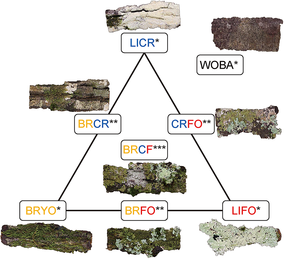 NIR Hyperspectral Imaging Combined with Chemometrics for Mapping Water Patterns During Dehydration of Nonvascular Epiphytic Communities