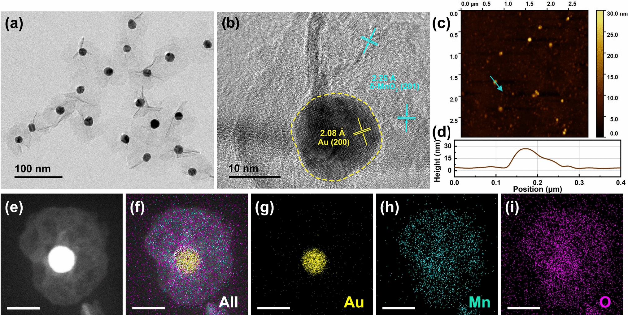 Point-of-Care Testing for Abnormal Amino Acid Metabolism: Visualized Colorimetric Detection of Tryptophan Based on Au@MnO Nanoparticles