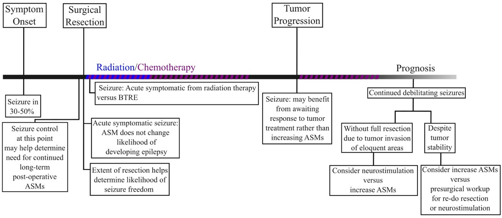 Brain Tumor Related Epilepsy: Pathophysiology and Multimodal Approach to Management