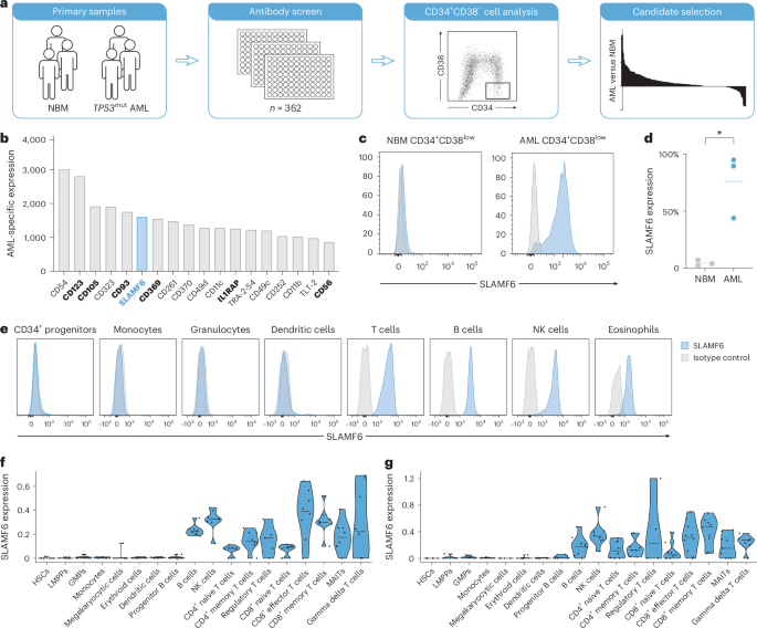 Aberrant expression of SLAMF6 constitutes a targetable immune escape mechanism in acute myeloid leukemia