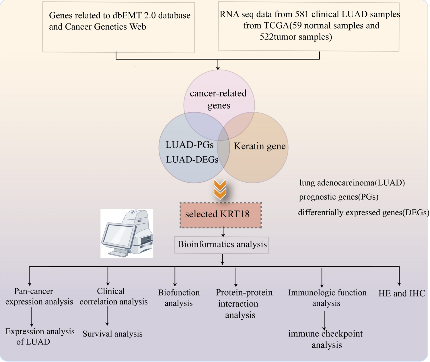Comprehensive analysis of KRT18 as a novel prognostic biomarker and potential target in lung adenocarcinoma