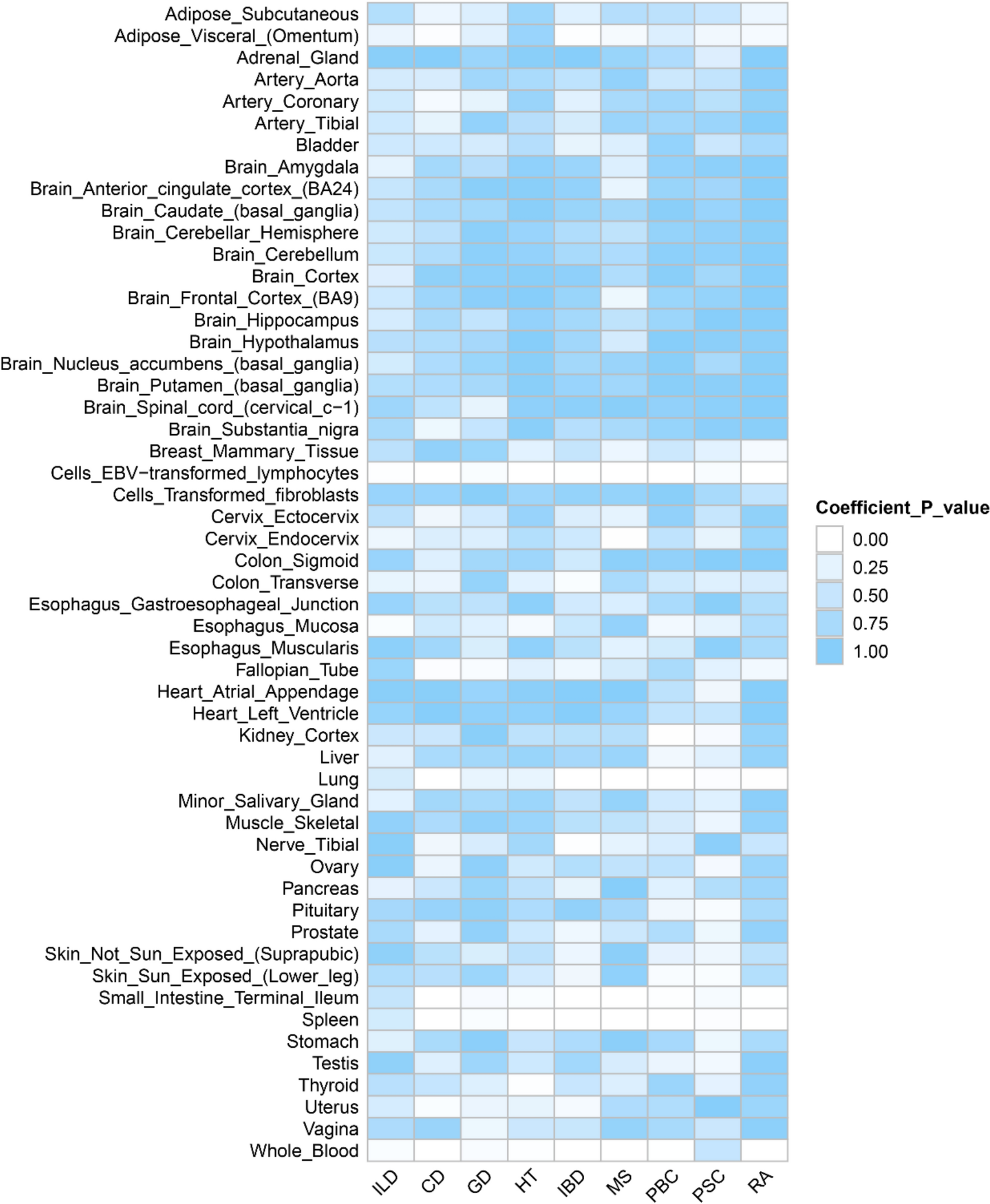 The shared genetic etiology of autoimmune disorders and interstitial lung disease: insights from large-scale genome-wide cross-trait analysis
