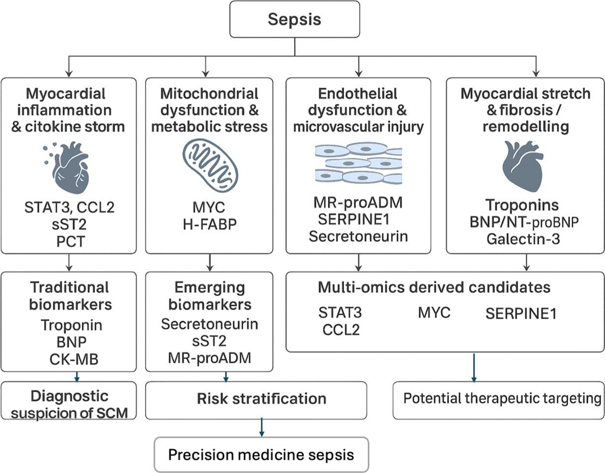 From cardiac injury to omics signatures: a narrative review on biomarkers in septic cardiomyopathy