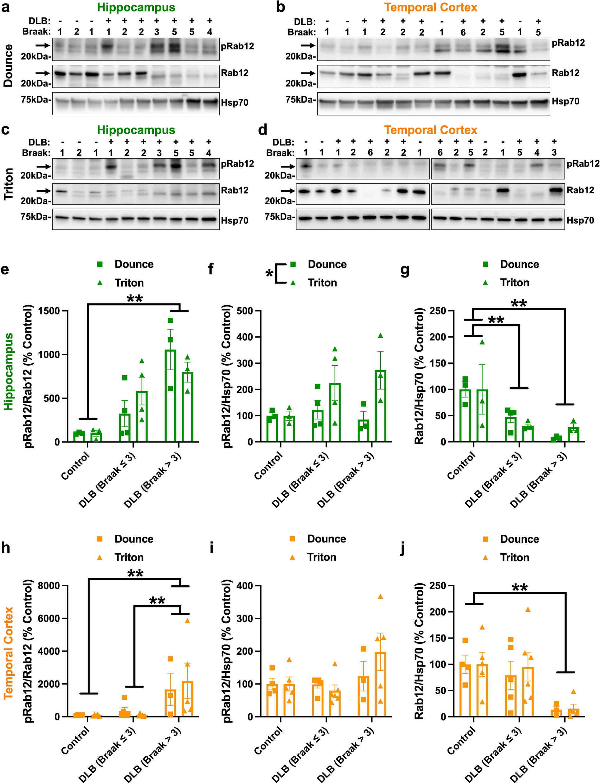 LRRK2 kinase-mediated accumulation of lysosome-associated phospho-Rabs in tauopathies and synucleinopathies