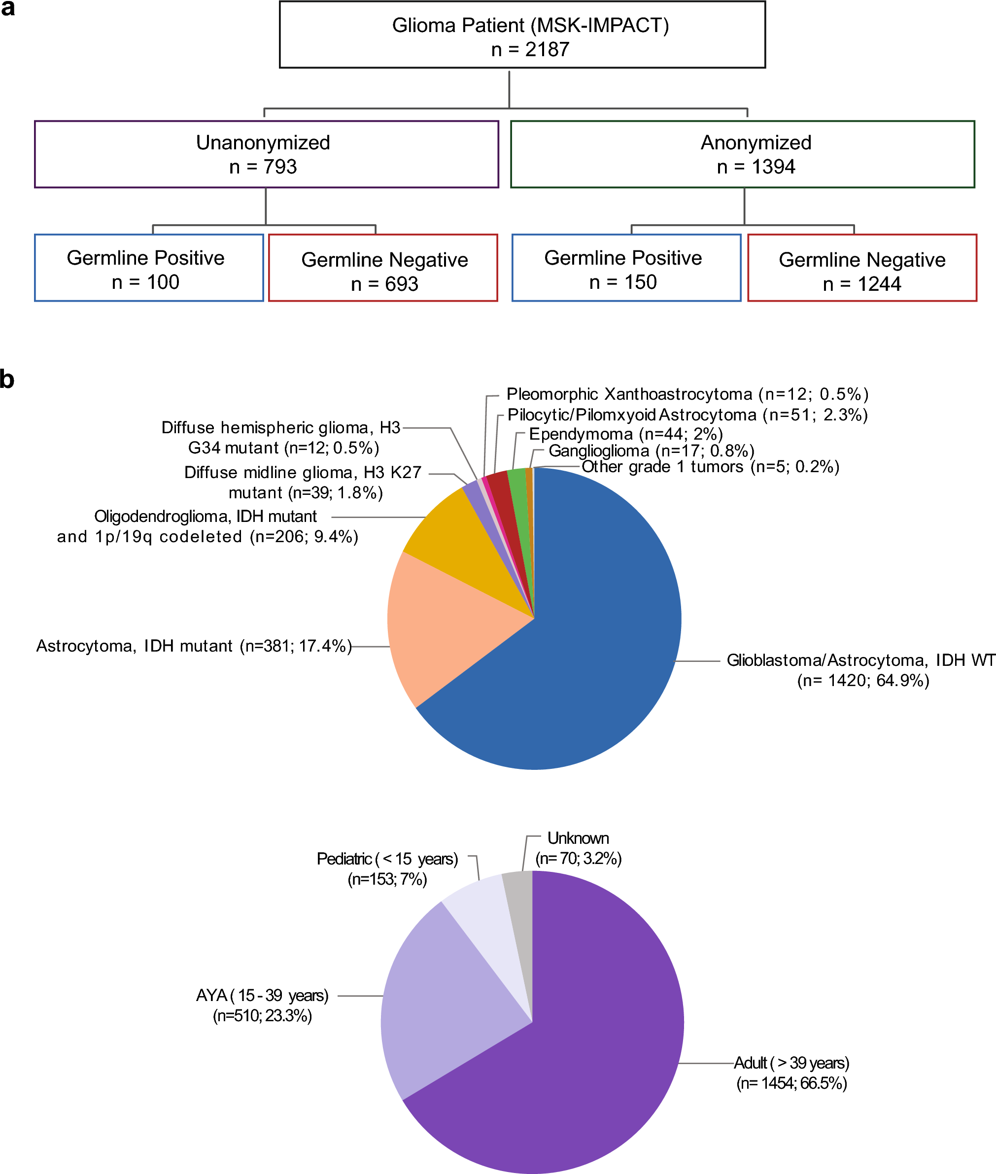 Prospective characterization of germline variants in patients with gliomas and glioneuronal tumors