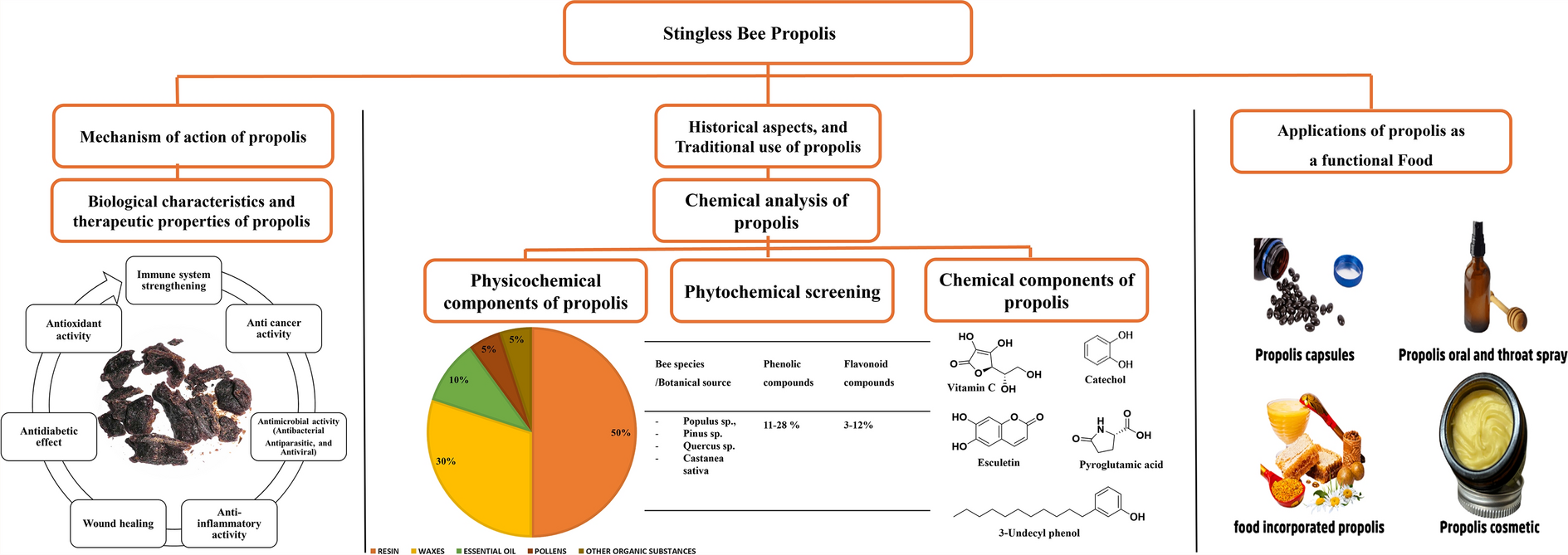 Stingless bee propolis: a comprehensive review of chemical constituents and health efficacy