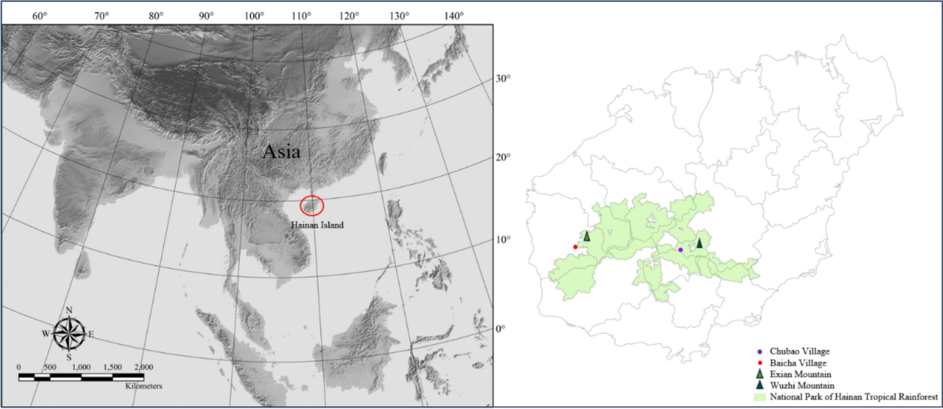 Boat-shaped houses of the indigenous Li people on Hainan Island, China: plant resources and ecological adaptations