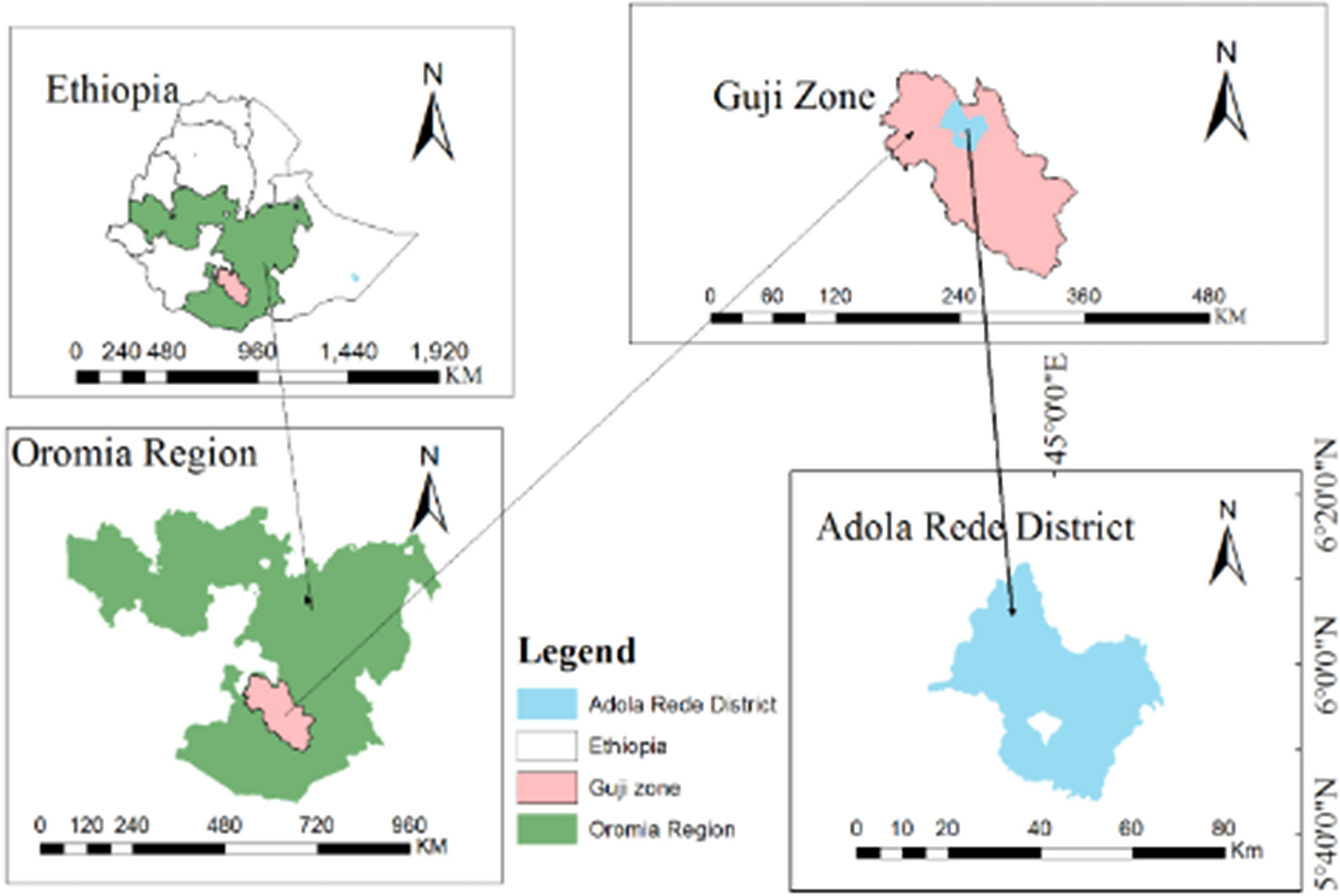 Eco-cultural synergy: exploring the links between native trees, rituals, and conservation in Guji Society, Southern Ethiopia