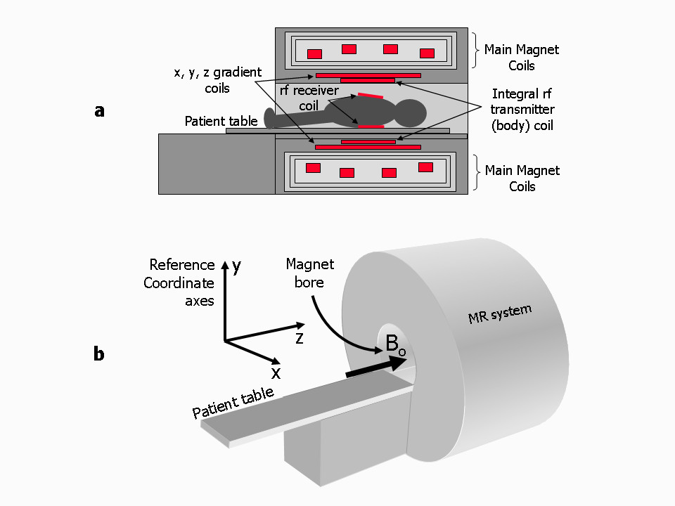 Cardiovascular magnetic resonance physics for clinicians: part I