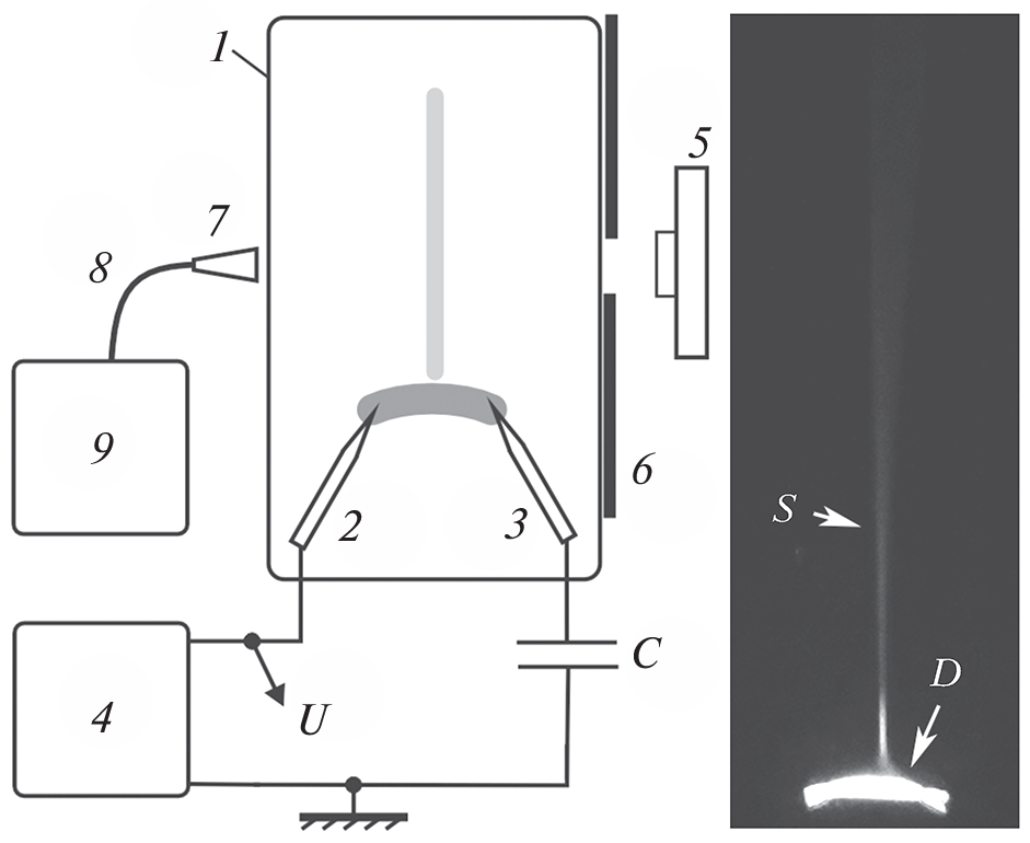 The Hypothesis of Transient Luminous Events in the Mesosphere of Venus