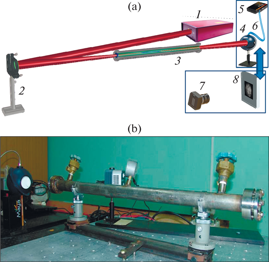 Effect of Gas Pressure on Spatial and Spectral Characteristics of a Femtosecond Laser Pulse during Its Filamentation
