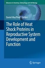 The Role of Heat Shock Proteins in Reproductive System Development and Function