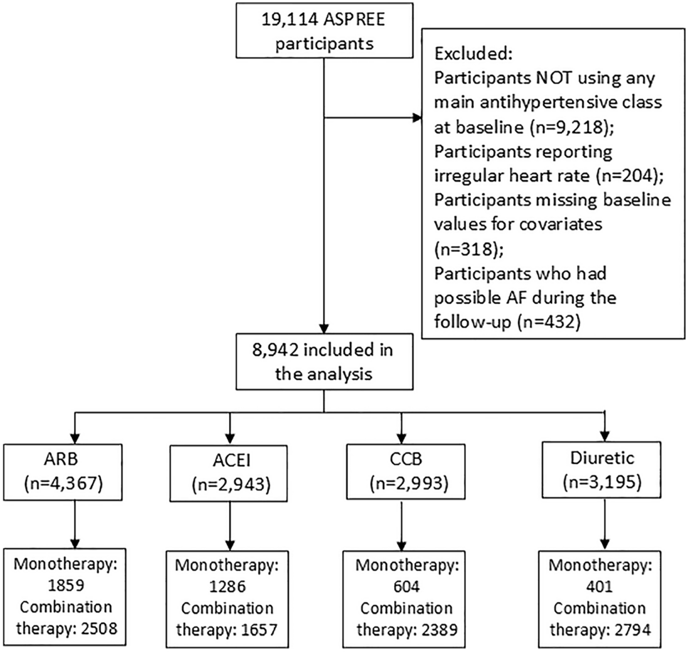 Anti-hypertensive Drug Classes and Risk of New-Onset Atrial Fibrillation in Healthy Older Adults: A Post Hoc Analysis of ASPREE Trial