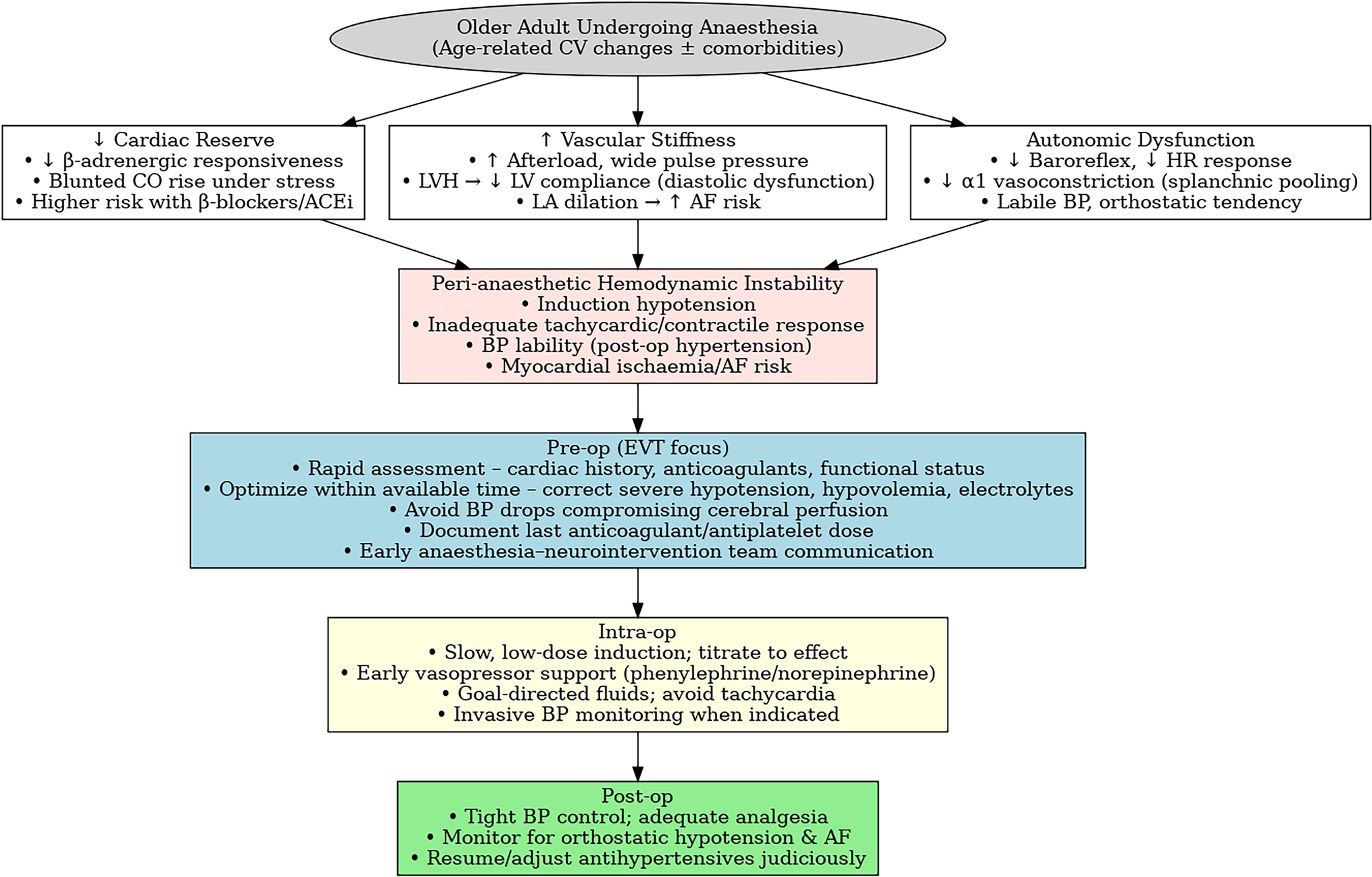 Anesthesia Considerations in Older Adults Undergoing Emergency Mechanical Thrombectomy for Acute Ischaemic Stroke
