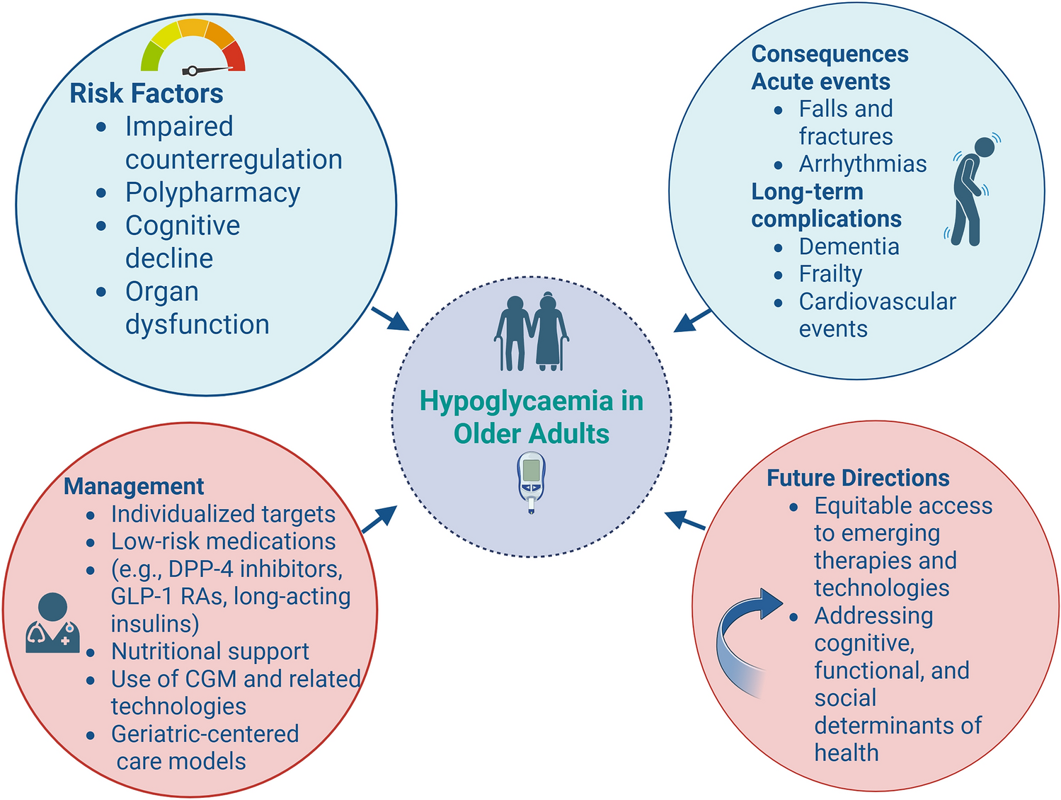 Hypoglycaemia in Older Adults with Diabetes: Pathophysiology, Prevention, and Personalized Care in an Aging Population