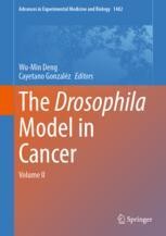 The Drosophila Model in Cancer