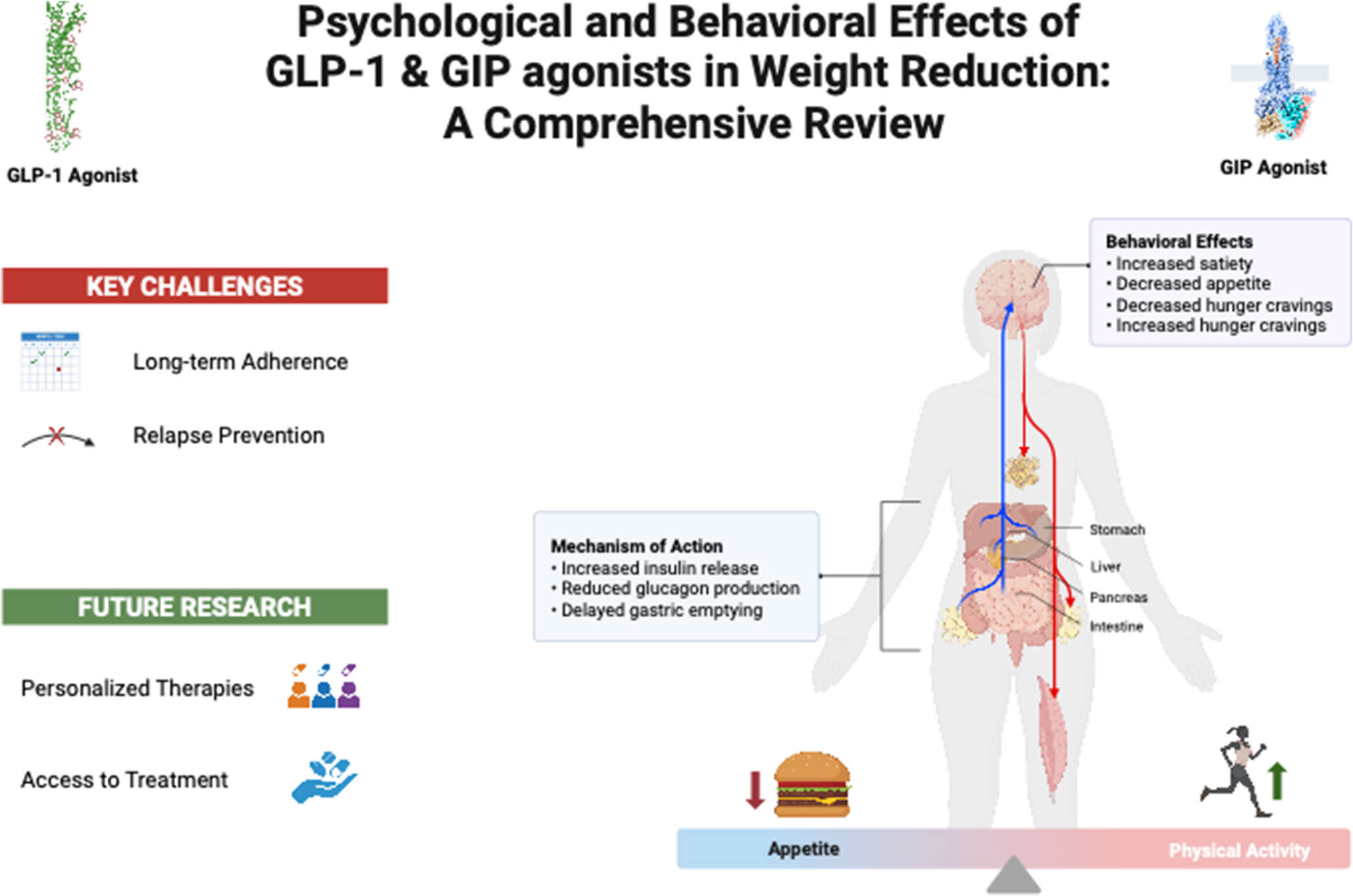 Psychological and behavioral effects of GLP-1 and GIP agonists in weight loss: a comprehensive review
