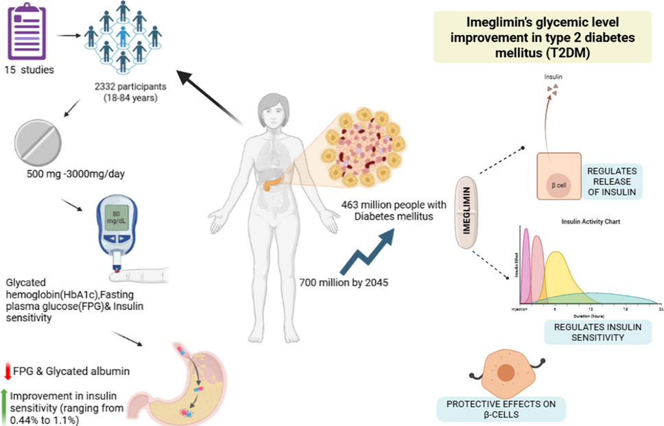 Imeglimin systematic review: a novel therapeutic approach for type 2 diabetes—unveiling benefits on β-cell function, insulin sensitivity, and potential long-term glycaemic control (HbA1c)
