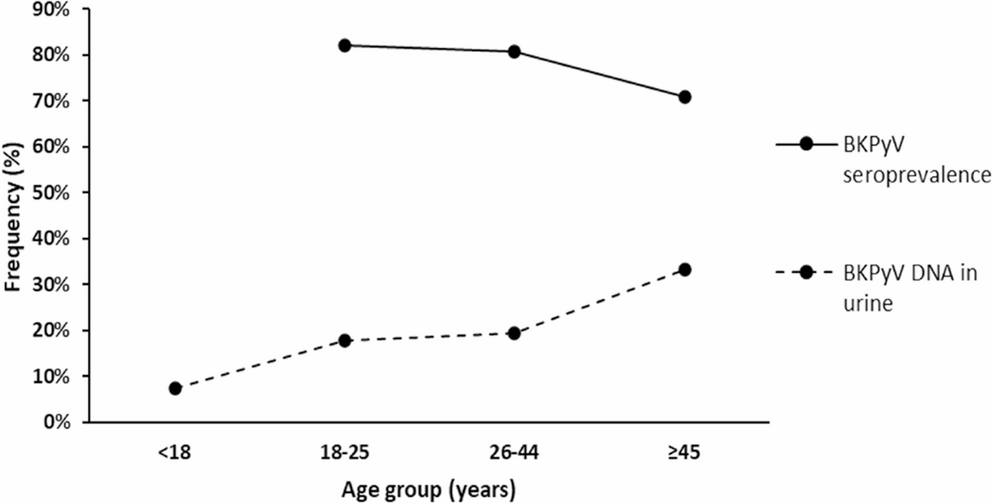 BK polyomavirus in a Portuguese healthy group: seroprevalence, viral Excretion, and implications for transmission pathways
