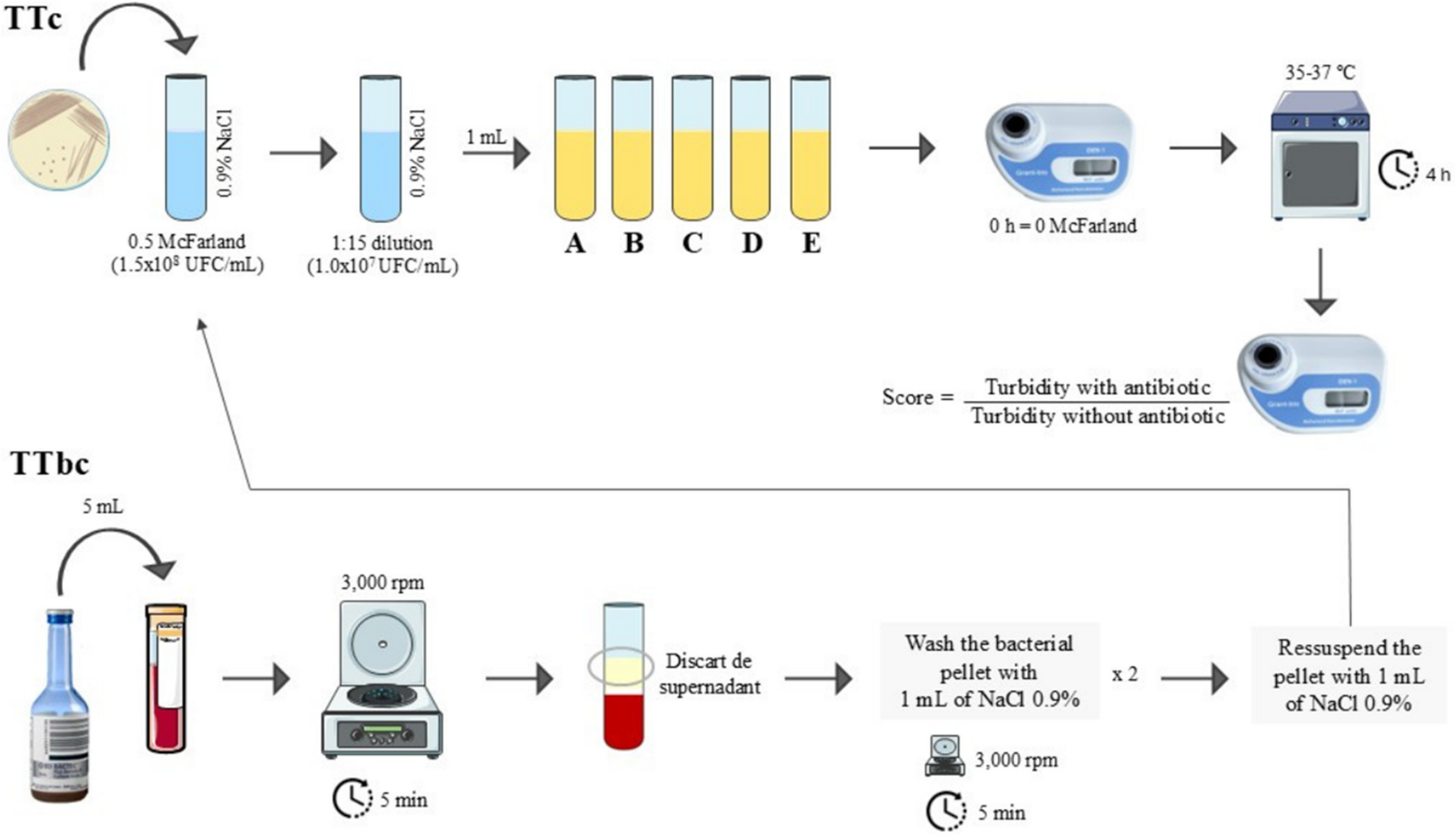 Turbitest: an innovative rapid test for determining in vitro susceptibility to ceftazidime-avibactam plus aztreonam in Enterobacterales