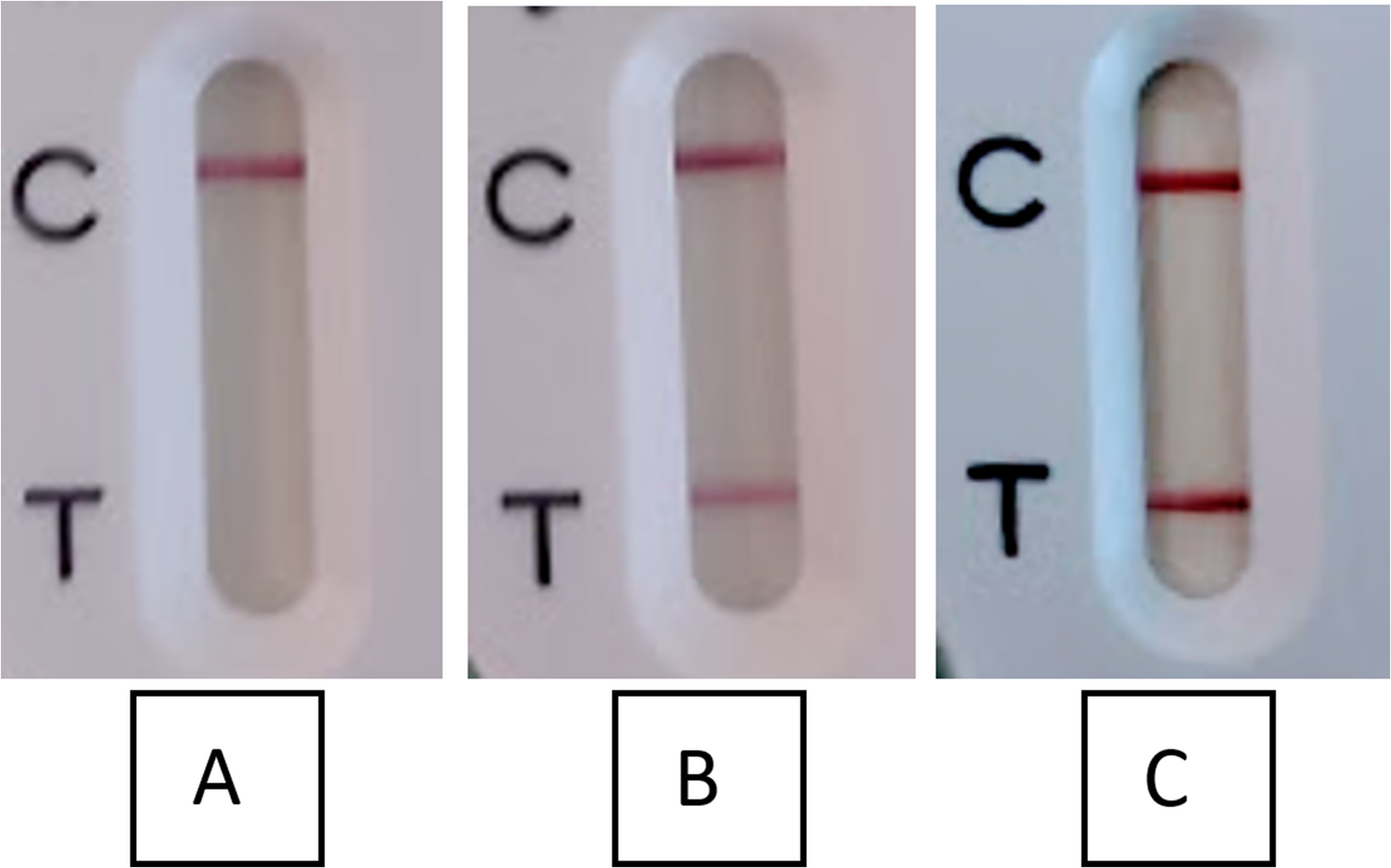 Comparison of three immunochromatographic assays for the rapid detection of CTX-M in