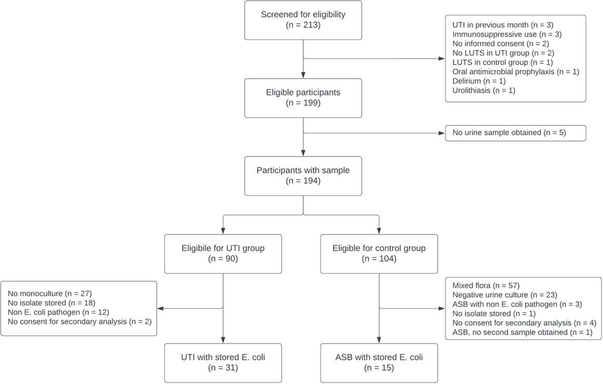 Whole-genome characterisation of  isolates from older women with urinary tract infection and asymptomatic bacteriuria