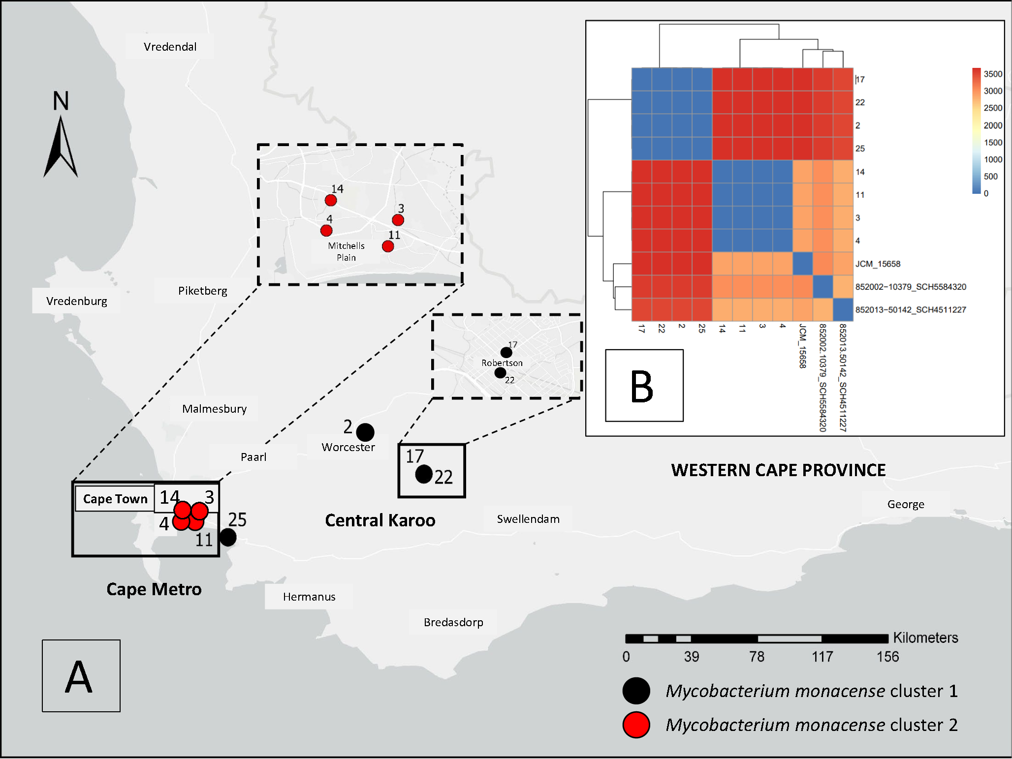 Clonal spread of  strains among patients with extrapulmonary mycobacteriosis