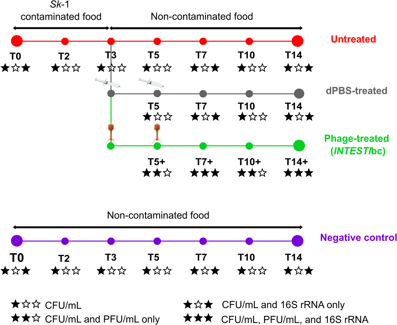 A commercial bacteriophage cocktail failed to decolonize  larvae and promoted overgrowth of an OXA-48-producing