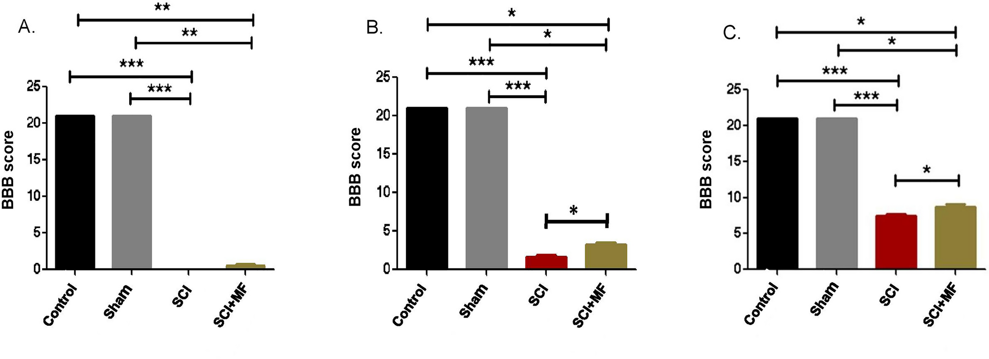 Modulation of the biphasic pattern of cortical reorganization in spinal cord-transected rats by external magnetic fields