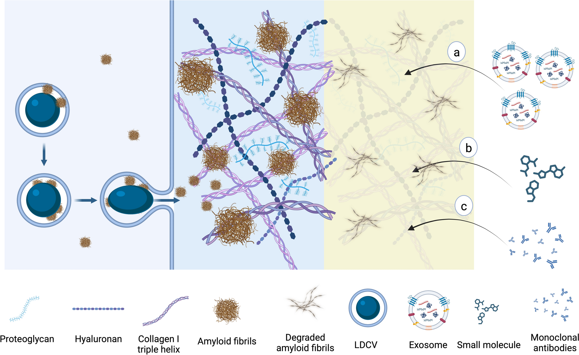 Role of the extracellular matrix in amylin aggregation: Opportunities for improved therapy in type 2 diabetes mellitus