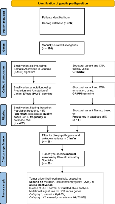 Whole genome sequencing-based analysis of genetic predisposition to adult glioblastoma