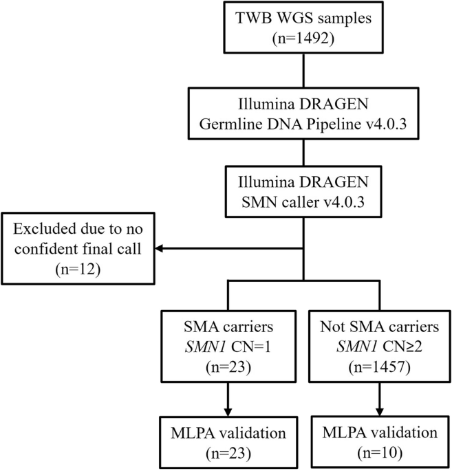 Application of whole genome sequencing for carrier and diagnostic assessment of spinal muscular atrophy in Taiwan