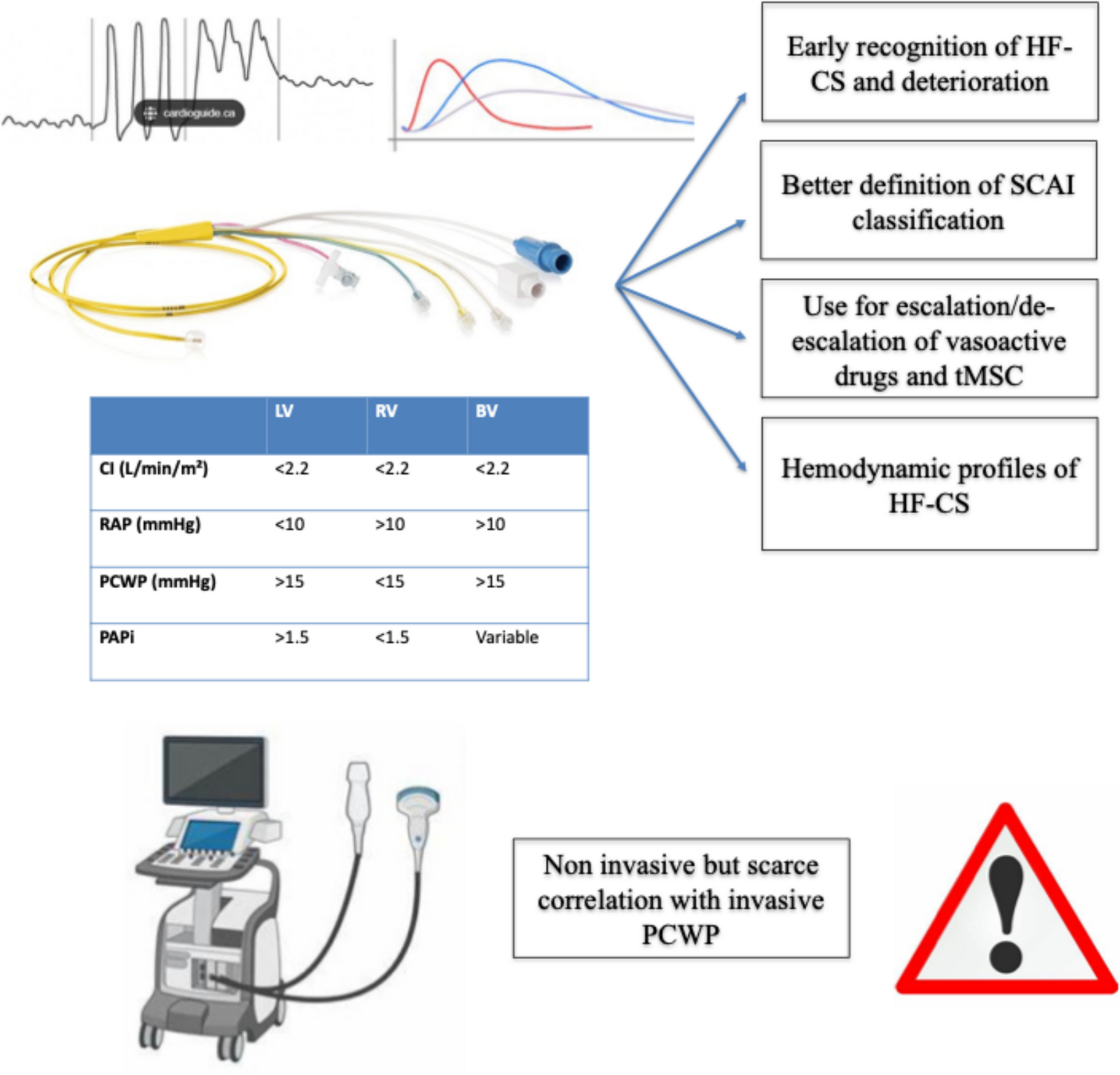 Special topics: heart failure–related cardiogenic shock, valvular heart disease and end-stage renal disease. Part 4 of the International Expert Opinion Series on Acute Heart Failure Management
