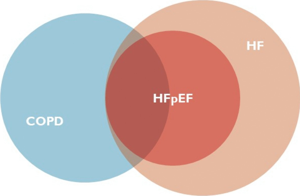 Heart failure and chronic obstructive pulmonary disease. A combination not to be underestimated