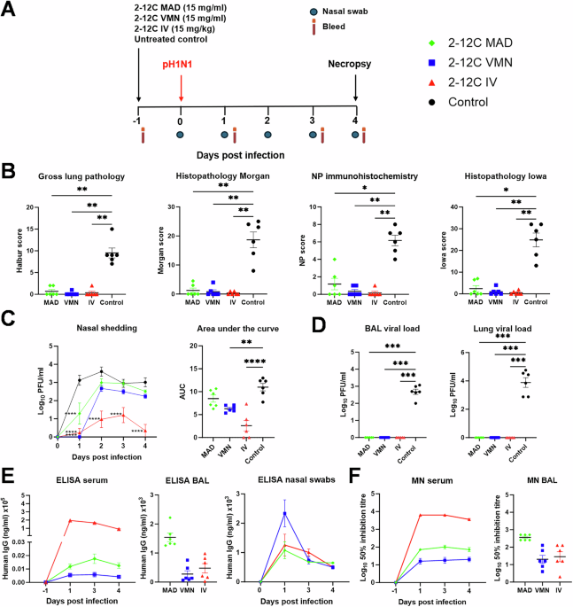 Aerosol and intranasal delivery of monoclonal antibodies to prevent transmission in pig influenza infection models
